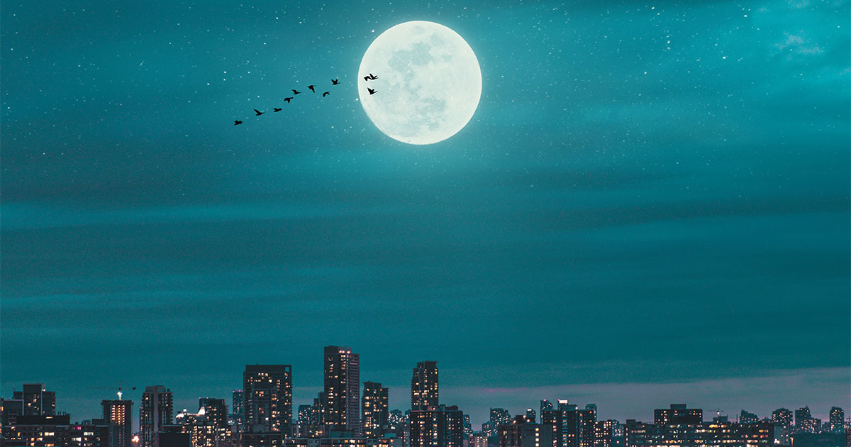 月夜に浮かぶ満月