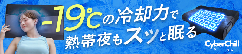 水冷まくら「サイバーチルピロー」