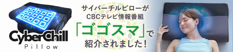 水冷まくら「サイバーチルピロー」
