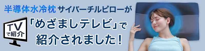 めざましテレビで紹介されました