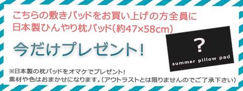 アウトラスト敷きパッド購入で枕パッドをおまけでプレゼント