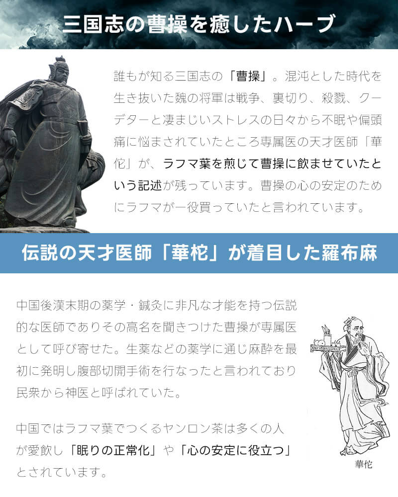 三国志の曹操を癒したハーブ
