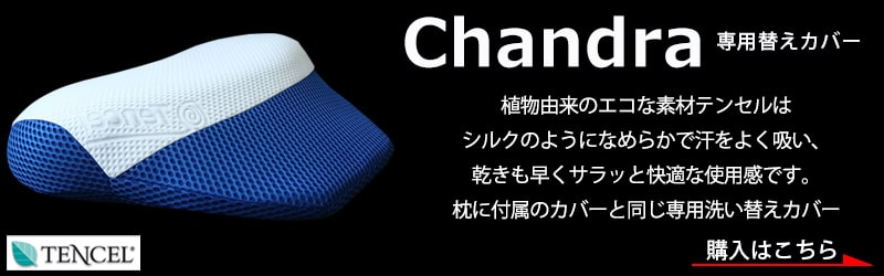 チャンドラ専用カバー