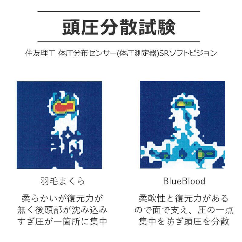 BlueBlood 3D体感ピロー