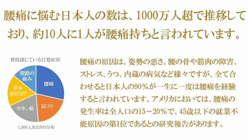 BlueBlood BODY CORE TATAMI 畳