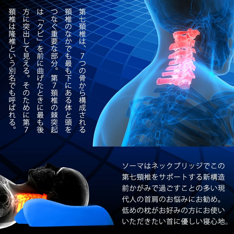 トップ 頸椎をはかる 枕