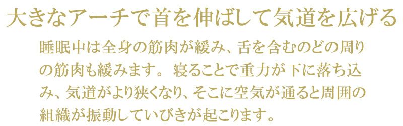 首狩り族のいびき枕EX