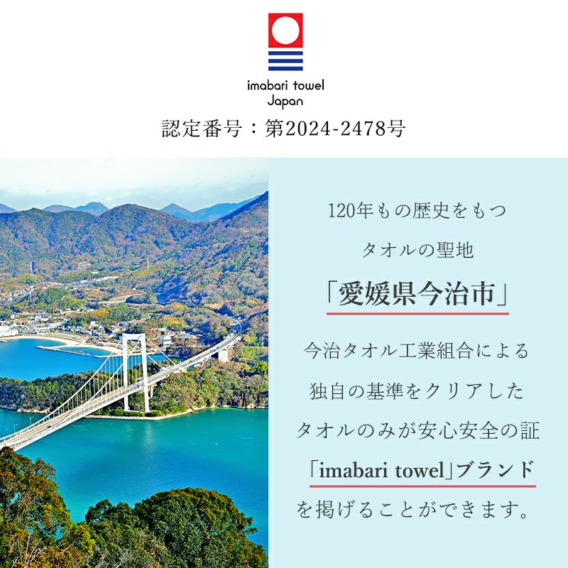 今治産敷きパッド型タオルシーツ